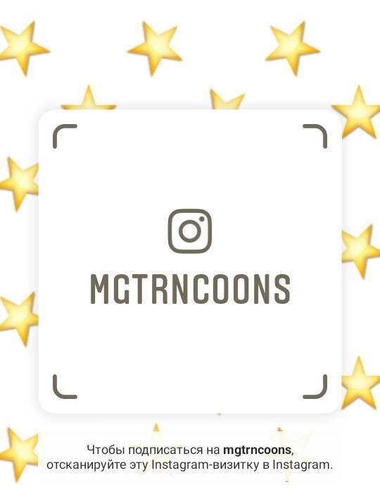 Instagram-визитка Mgtrncoons