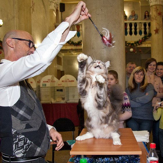 Выставочная хроника