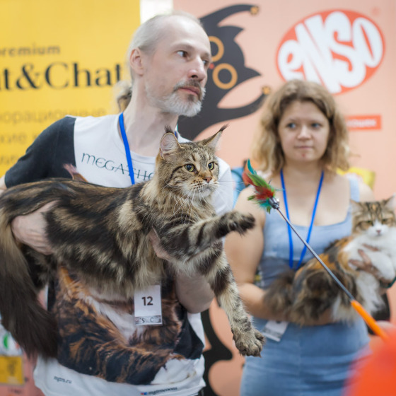 Выставочная хроника