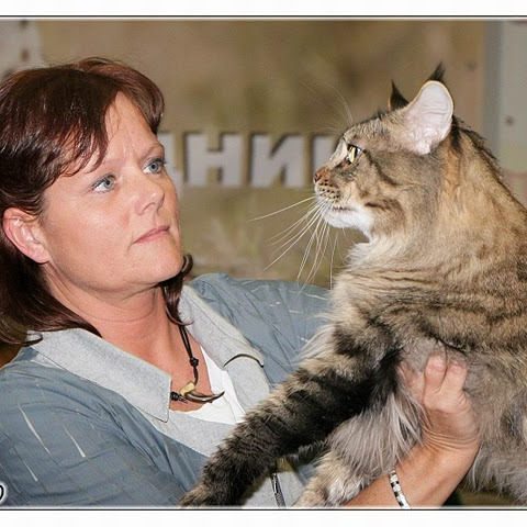 Рыс, Кот-Отец
