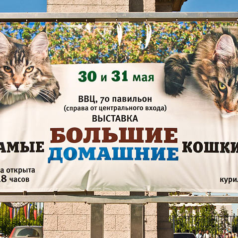 Дети Куноматери