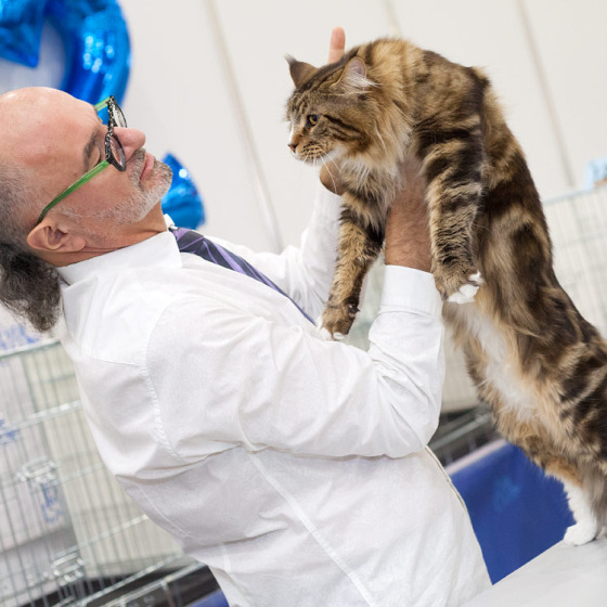 Выставочная хроника