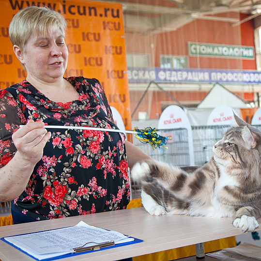 Выставочная хроника
