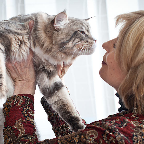 Megatherion Marching Out