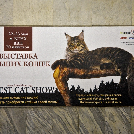 Великий Тигр и прекрасная Муржетт