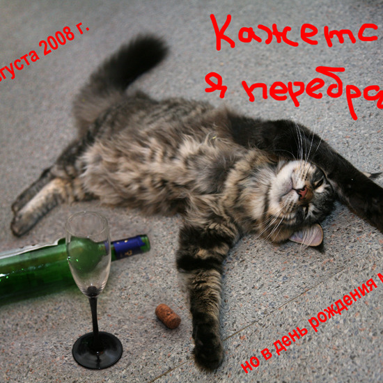 Великий Тигр и прекрасная Муржетт
