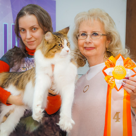 Выставочная хроника